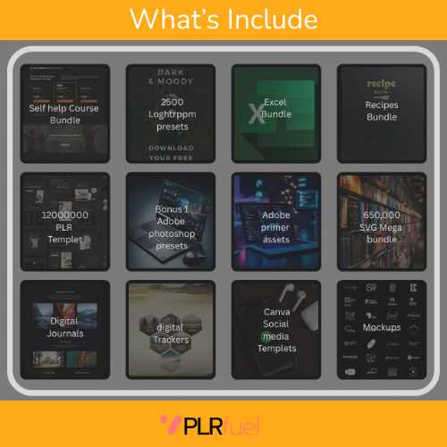 80 MILLION+ DIGITAL PRODUCTS MRR & DPP - PLRfuel